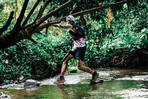 BIB: 
                            <button type="button" onclick="openModal(25269428)" class="btn btn-primary btn-sm float-right btn-popup" data-toggle="modal" data-target=".modal-high-quality">
                        <i class="fas fa-shopping-cart"></i> Add to Cart
                    </button>
                                            <button type="button" onclick="isThisMe(25269428, true)" class="btn btn-success btn-sm float-right btn-popup btn-isme hidden" data-toggle="tooltip" data-placement="bottom" title="นี่คือรูปของคุณใช่ไหม คลิกที่นี่เพื่อเอาเข้าอัลบั้ม">
                        <i class="fas fa-plus"></i> Add to album
                    </button>
                    <button type="button" onclick="isThisMe(25269428, false)" class="btn btn-warning btn-sm float-right btn-popup btn-isnotme hidden">
                        <i class="fas fa-ban"></i> Remove from album
                    </button>